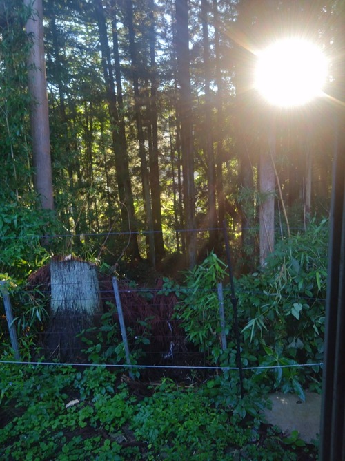 A52A0AF7-CFC1-4B44-A6F7-FEAE6904E783