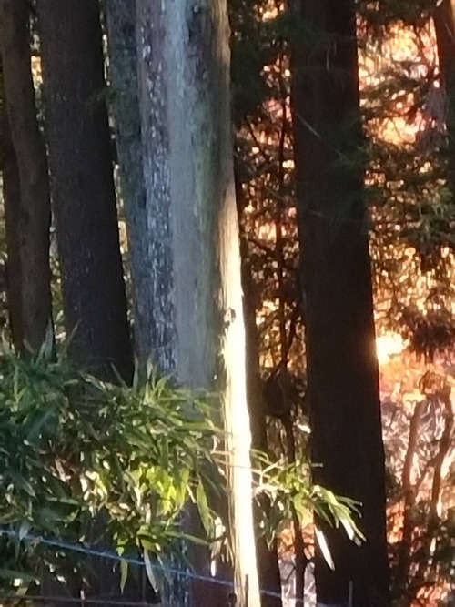 F570D299-92AE-403C-96FC-F05E15881482