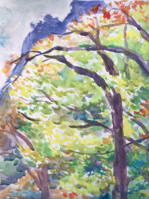 A7D204F4-6914-4A34-A74A-893338790B31