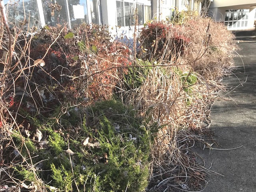 水彩画家・長尾１周二１９１１３０５