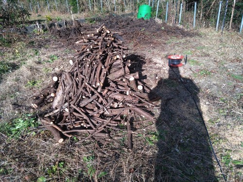 880B6E2E-DF58-4565-A923-640B96B52E10