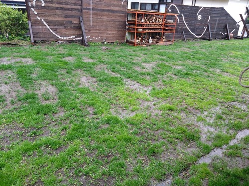 C391EF79-A451-43DA-87C0-8885C357420B