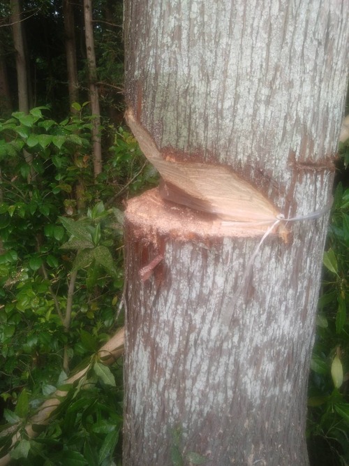 9412EE9A-C2CA-42FF-9444-11DDAF578D7F