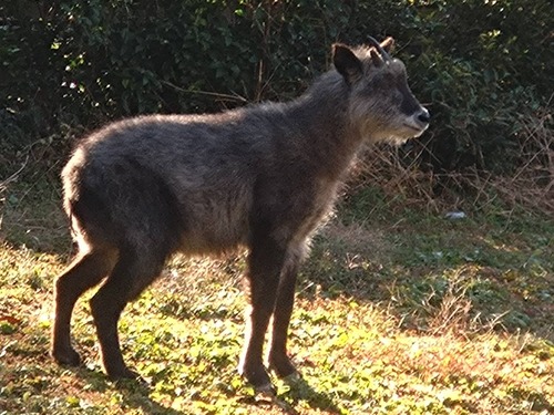 075181C3-3BCF-4A3C-B194-240FAB16C4E7