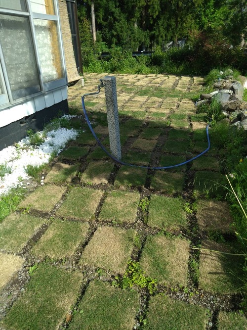 702F91DF-054B-4F46-9C6E-9808E4EF0E64