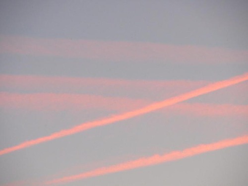 水彩画家･長尾周二１８０９０７２