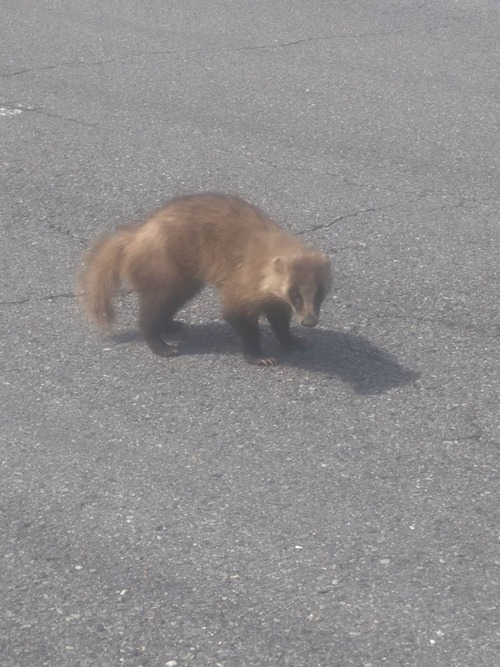 BBDDDF98-D8D1-49B7-954D-99873F1FE297