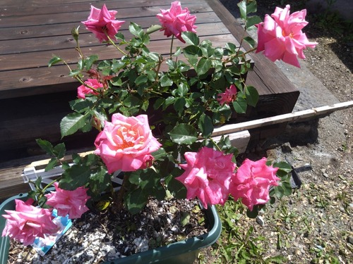 43020BB0-0886-473D-BF33-ACB8D2B1F344