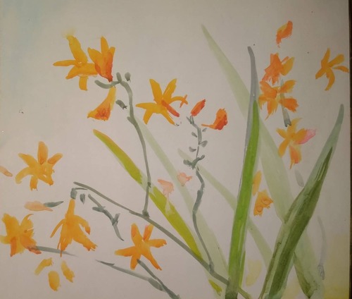 2E6CF551-9320-4C37-BA3A-3D64E46C971C