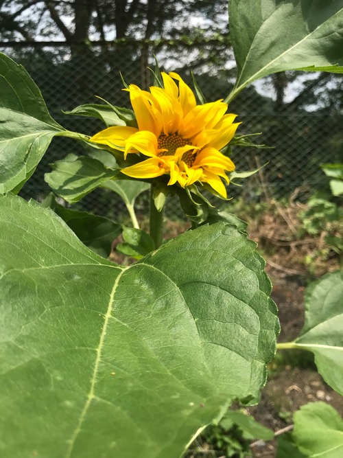 4F49A793-3D76-4BFB-9059-8EA12B52E34E