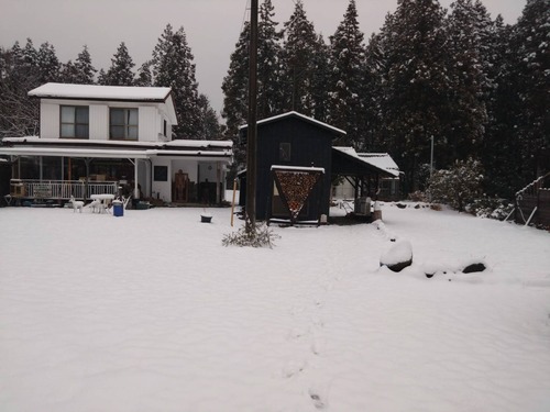 4E2353B5-EC65-4179-981D-07DB61079872