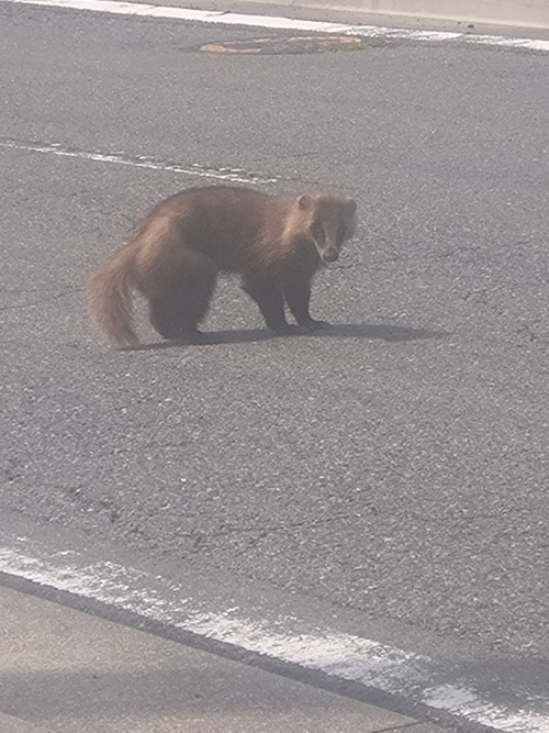 D4532B69-EF9B-4EB5-B404-36741736E06C