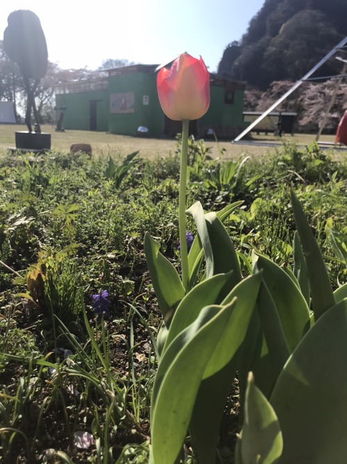 AC565691-A7FA-4B1A-9244-AA12C43EEB24