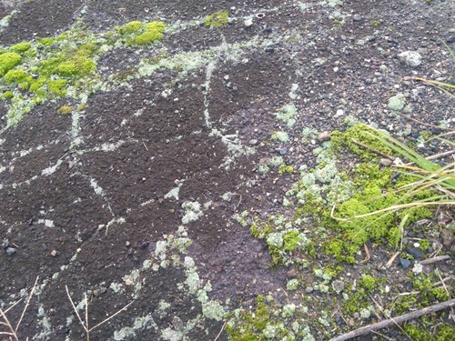 9643C4F4-11D4-4DA6-BE6F-260A310F1ED8