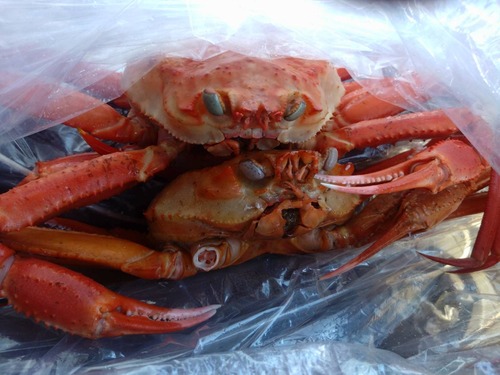 72129502-849F-4AFF-8ABA-DEC53904A1D3