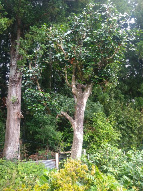 CBC76622-5688-4D75-A5E4-C62666493C38