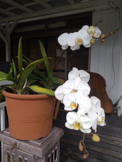 27CCBD79-F2EA-4C12-BA1A-6C134269045A