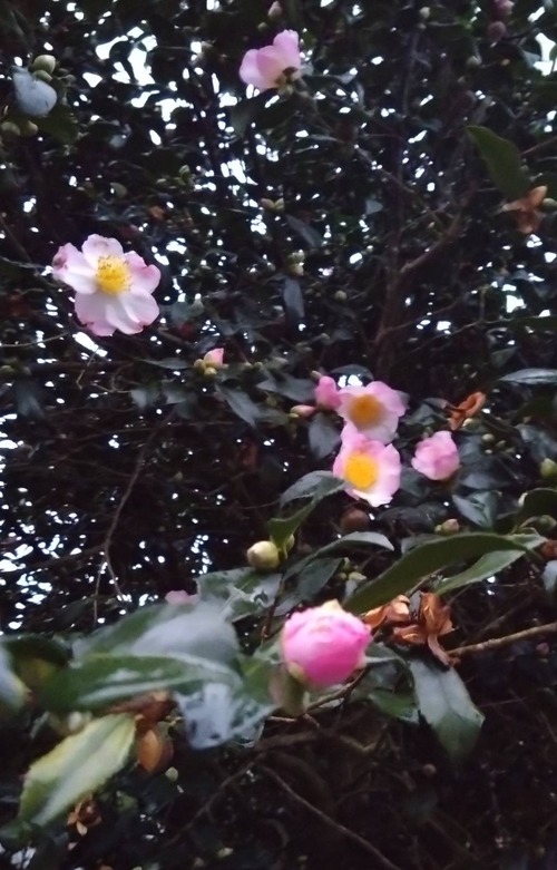 93B8BEDA-120B-45D9-8165-BD82E59E9ECC