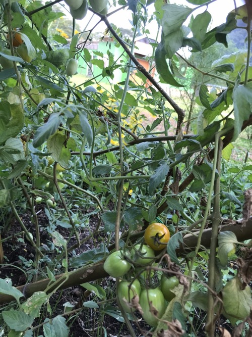 F137D6DE-0746-4D72-BE0E-A45BA43E6AE7