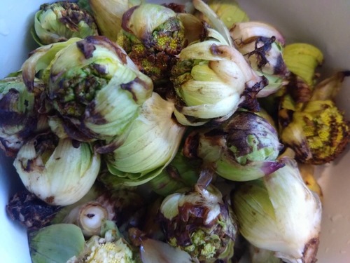 16C64111-3516-402A-B13D-5409F47699D6