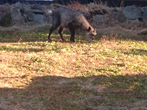 2F4E4351-AF65-4962-BA38-E3CFD4350626