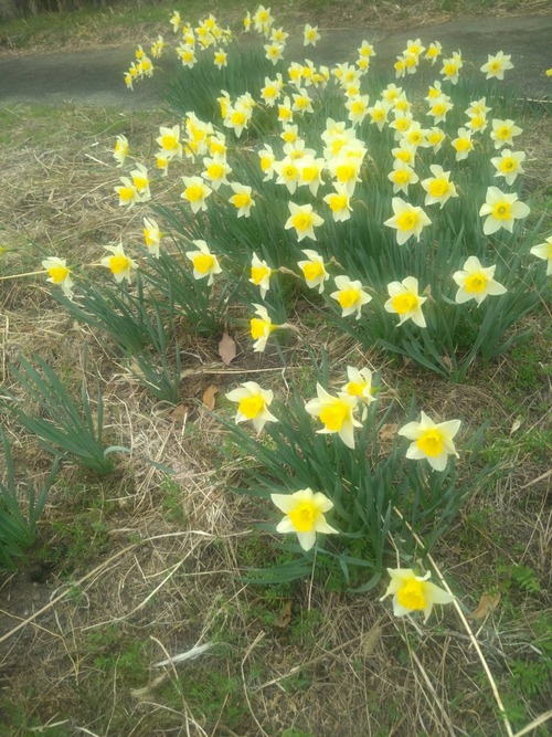 B791CAA9-38A4-4A44-88AC-71C75B3E9218