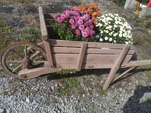 68C97EF3-9922-477A-9BB1-775DEA4FC052