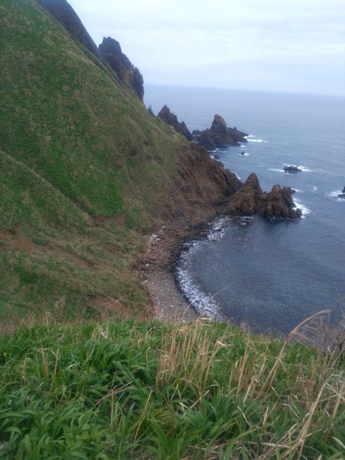 C71D014C-D7A7-4695-9B70-A290FDA6995E