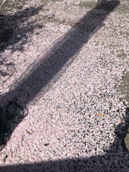 281916A4-143A-4453-ACB5-C47D70C9E083