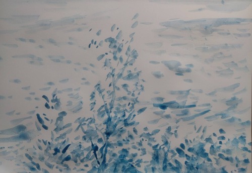 951C04E7-27B1-453B-BFC6-F106BF51222F