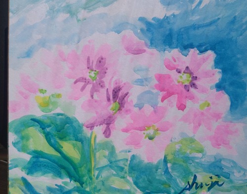 80293259-B4C3-4F52-B80F-AD2EB925D7CB