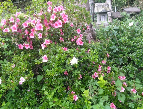 5BBD7252-A646-47BD-9F8D-3312D3CC133F