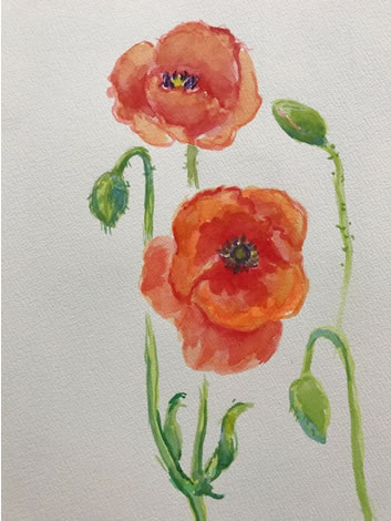 水彩画家・長尾周二1806091