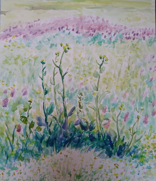 F5C195A2-71F5-4453-B2D7-5C4DC8EF351F