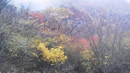 水彩画家・長尾周二141028