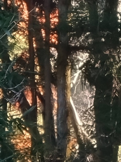 74C09DB2-5562-4759-B4E9-61764028D74A