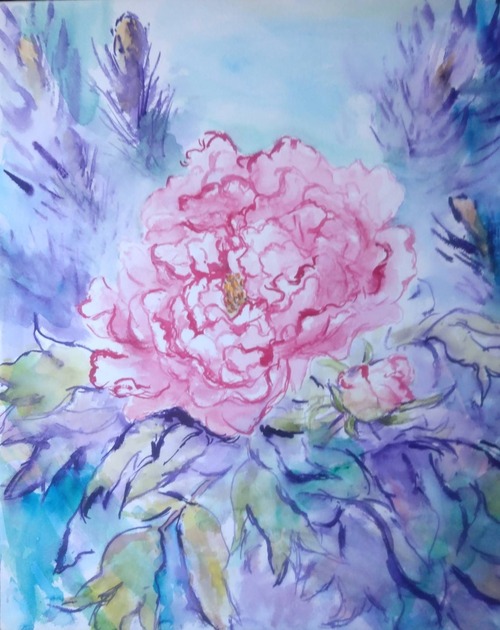 41B33ED4-8117-4D9C-8C65-4FB2091A7B40