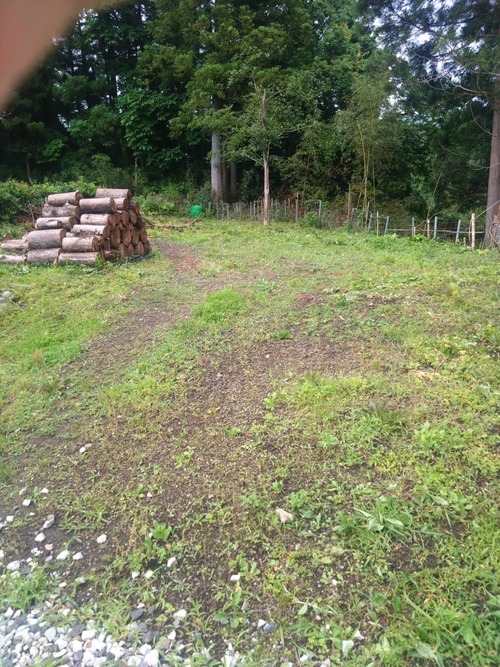 B00B0738-C22A-4B35-8B82-C0056B226D22