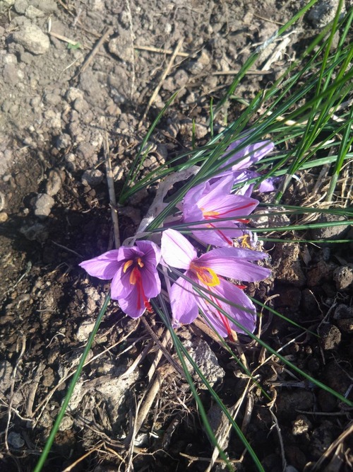 74244CA8-D1B6-4AAF-B453-9D2446ABA715