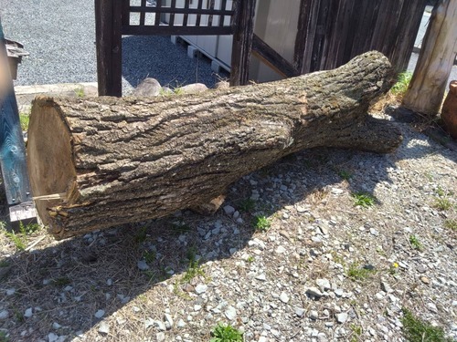 E8C6791C-0A9C-44D9-8936-D11125DBA453