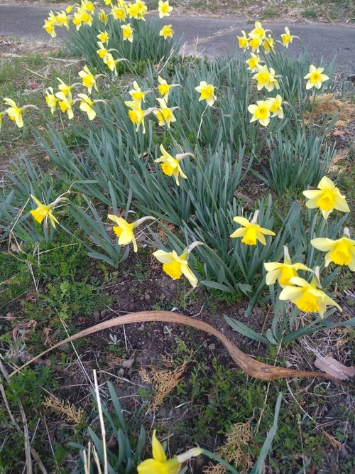 9B2FC47B-1DA6-45C6-B12A-C89BE56FF7A5