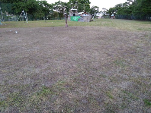 C148CA2A-AD72-4A7D-BBE4-B296EBE6A5C1