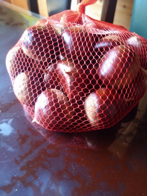 C83BFE5C-F14F-4537-88C4-BD7C2803161F