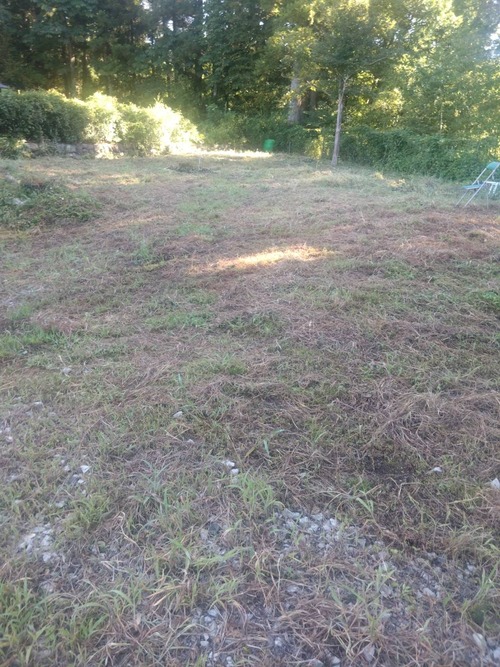 5A793CD2-6A22-4ABB-AB95-3DE0E64F0D0F