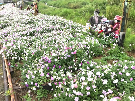 水彩画家・長尾周二1806213