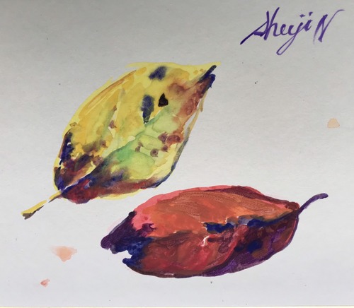 659255A8-D81E-4FAD-855D-5D93ED06EFDD