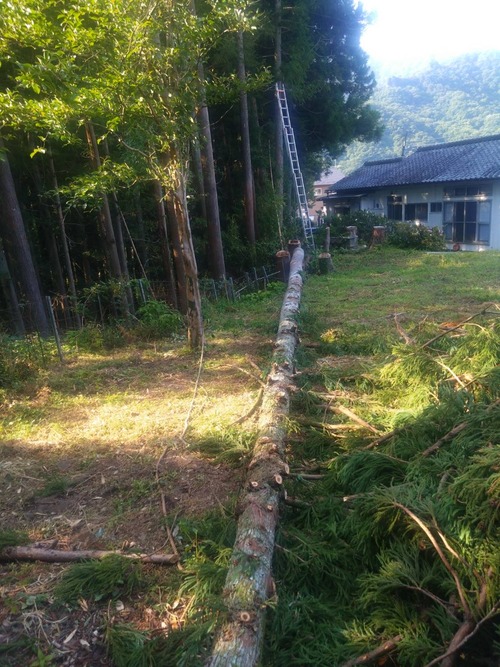 F7A9C500-0DAE-4FC1-907B-CD7E521CEA1A