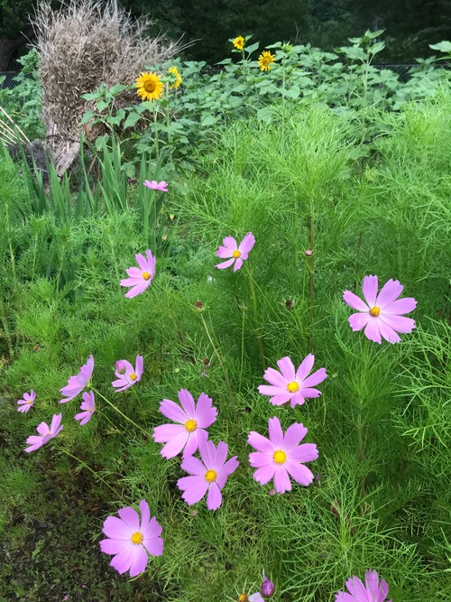 5A2449AE-7E84-41BD-8C13-AF26A6A7A984