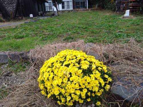 BA6B9579-11AA-43F4-9EE4-C91F772831B9