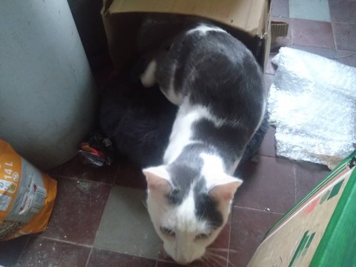 DDA4A89B-D1A6-4F30-AF92-5F96C72407BE